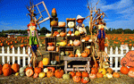 Halloween Pumpkins Download Jigsaw Puzzle