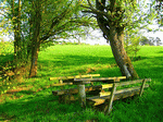 Wooden Bench Download Jigsaw Puzzle