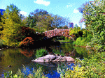 Central Park, NYC Download Jigsaw Puzzle