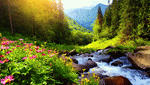 Mountain Stream Download Jigsaw Puzzle