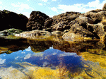 Rock Pool, England Download Jigsaw Puzzle
