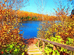Autumn Lake Download Jigsaw Puzzle