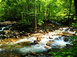 Mountain Stream Download Jigsaw Puzzle