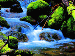 Creek, Oregon Download Jigsaw Puzzle