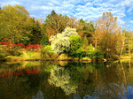 Lake Download Jigsaw Puzzle