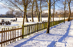 Winter Park Download Jigsaw Puzzle