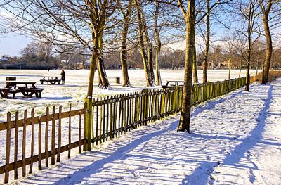 Winter Park Download Jigsaw Puzzle