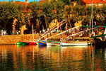 Boats Download Jigsaw Puzzle