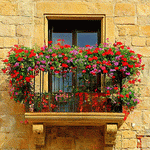 Flowers Download Jigsaw Puzzle