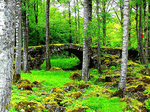 Stone Bridge Download Jigsaw Puzzle