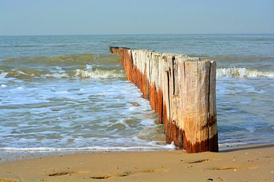 Seashore Download Jigsaw Puzzle