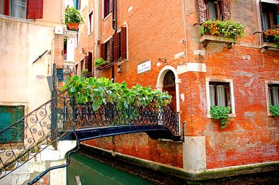 Plants Download Jigsaw Puzzle