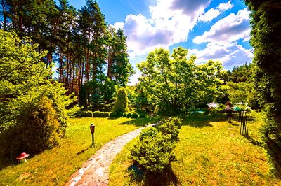Park Path Download Jigsaw Puzzle