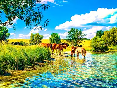 Horses Download Jigsaw Puzzle