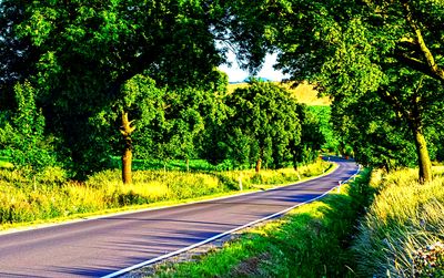 Highway Download Jigsaw Puzzle