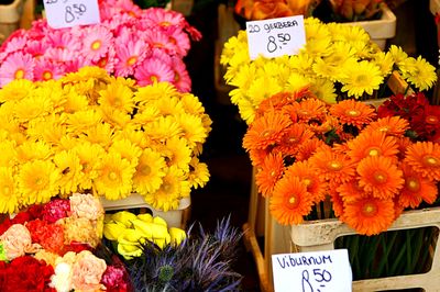 Flowers Download Jigsaw Puzzle