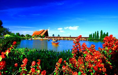 Flowers Download Jigsaw Puzzle