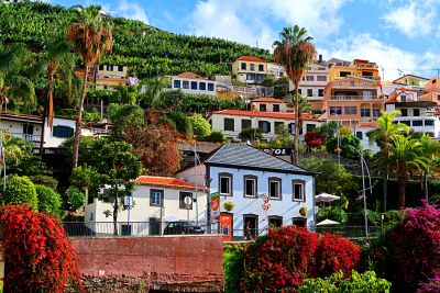 Hillside Houses Download Jigsaw Puzzle