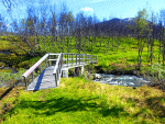 Footbridge Download Jigsaw Puzzle