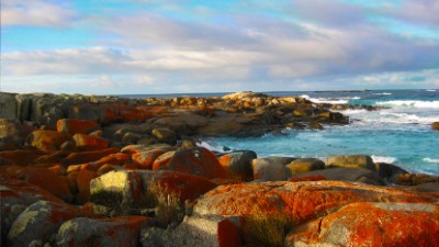 Bay of Fires, Australia Download Jigsaw Puzzle