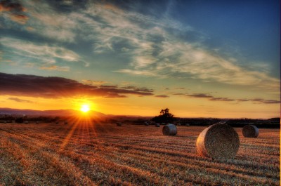Sunset Haybales Download Jigsaw Puzzle