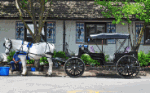 Horse And Buggy Download Jigsaw Puzzle