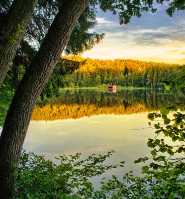 Cottage On The Lake Download Jigsaw Puzzle