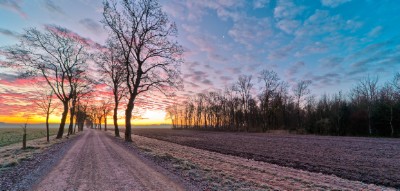 Dirt Road Download Jigsaw Puzzle