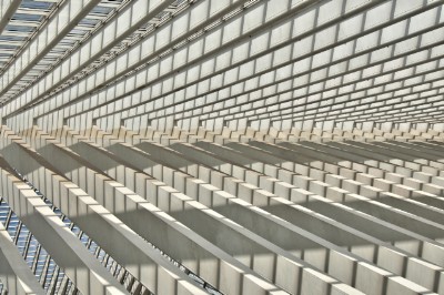 Guillemins Download Jigsaw Puzzle