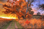 Sunset Over Hiking Trail Download Jigsaw Puzzle