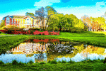 Lily Pond Download Jigsaw Puzzle