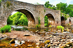 Bridge Download Jigsaw Puzzle