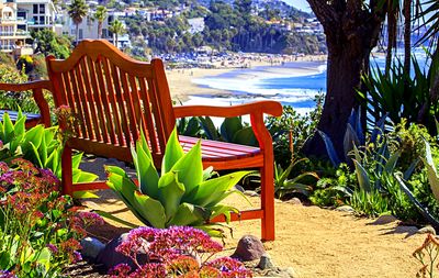Beachside Bench Download Jigsaw Puzzle