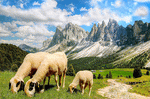 Alpine Italy Download Jigsaw Puzzle