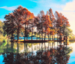 Lake, China Download Jigsaw Puzzle