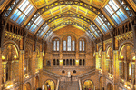 Museum Download Jigsaw Puzzle