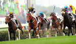 Horse Race Download Jigsaw Puzzle