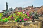 Flowers, Cyprus Download Jigsaw Puzzle
