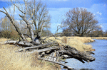 Riverside Download Jigsaw Puzzle