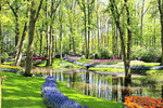 Park, Netherlands  Download Jigsaw Puzzle
