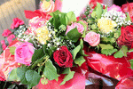 Roses  Download Jigsaw Puzzle