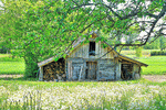 Weathered Shed Download Jigsaw Puzzle