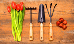 Gardening Tools Download Jigsaw Puzzle