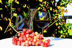 Wine Grapes Download Jigsaw Puzzle