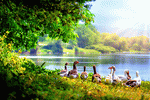 Wild Geese Download Jigsaw Puzzle