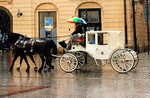 Carriage Download Jigsaw Puzzle