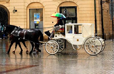 Carriage Download Jigsaw Puzzle