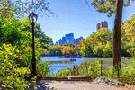 Central Park, NYC Download Jigsaw Puzzle