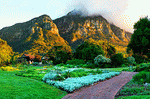 Mountains, S. Africa Download Jigsaw Puzzle