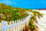 Beach Download Jigsaw Puzzle